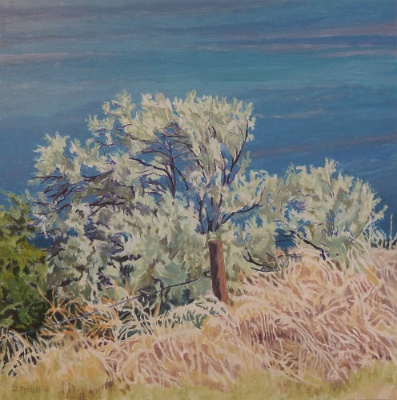 High Desert, Columbia River