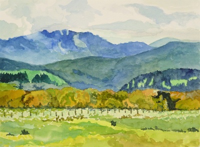 After the Shower, N. California