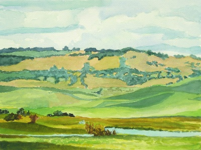 Early Spring, N. California